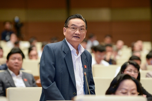 
Tran Du Lich, National Assembly Deputy, HCM City.

