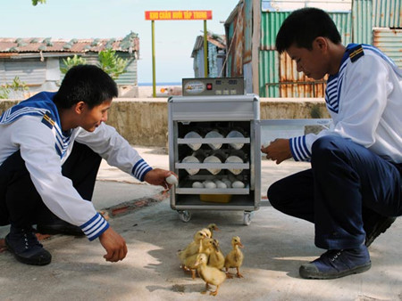 
 Egg hatching machine handed over to island villages in Truong Sa archipelago. (Photo: Le Ha)
