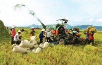 Quảng Trị huy động các nguồn lực đẩy mạnh phát triển nông nghiệp (17h25, 31/3, VTV1)