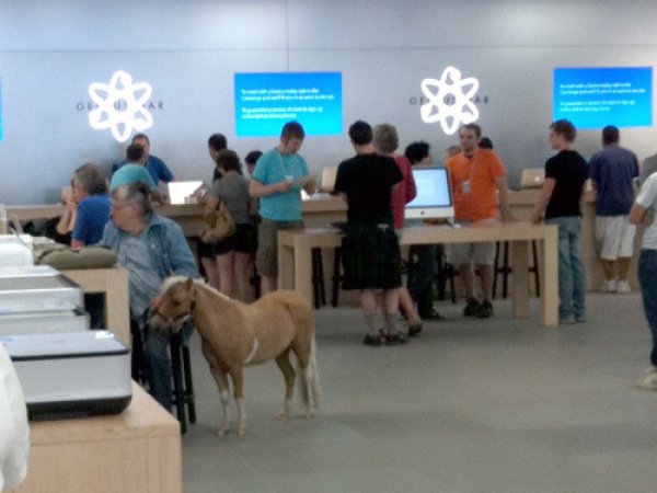 Những hình ảnh khó đỡ chi có tại cửa hàng Apple Store - Ảnh 10.