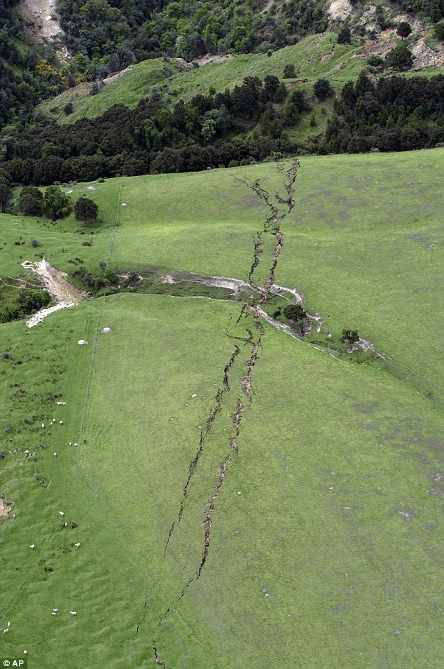 Động đất 7,8 độ richter tàn phá nhiều khu vực tại New Zealand - Ảnh 2.