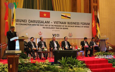 Dấu mốc mới trong quan hệ Việt Nam với Brunei và Singapore - Ảnh 2.