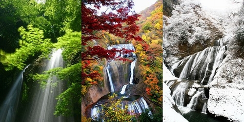 Những nơi ngắm lá vàng, lá đỏ đặc trưng vào mùa thu ở Nhật Bản - Ảnh 1.