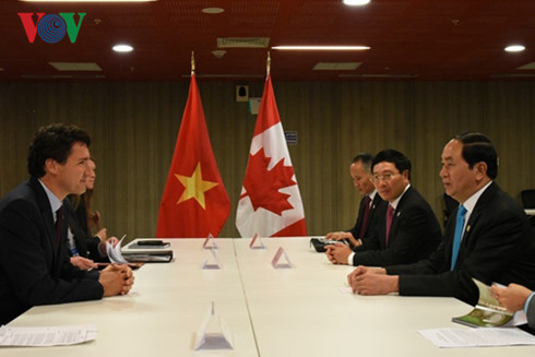 Chủ tịch nước Trần Đại Quang gặp lãnh đạo nhiều nước thành viên APEC - Ảnh 2.