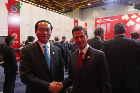 Chủ tịch nước Trần Đại Quang gặp lãnh đạo nhiều nước thành viên APEC - Ảnh 3.