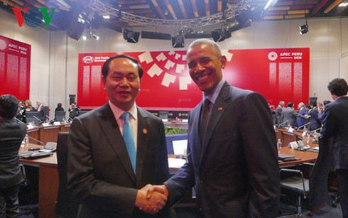 Chủ tịch nước Trần Đại Quang gặp lãnh đạo nhiều nước thành viên APEC - Ảnh 1.