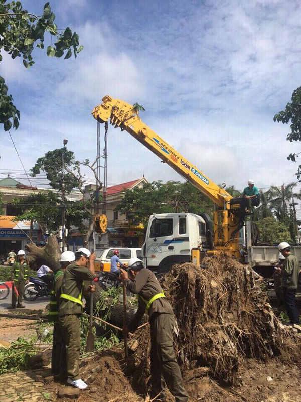 Hà Nội hỗ trợ TP Vinh khắc phục cây đổ sau bão số 2 - Ảnh 2.