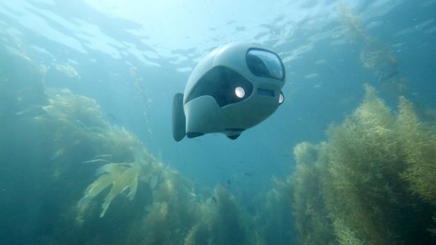 Robot cá thăm dò môi trường biển - Ảnh 4.