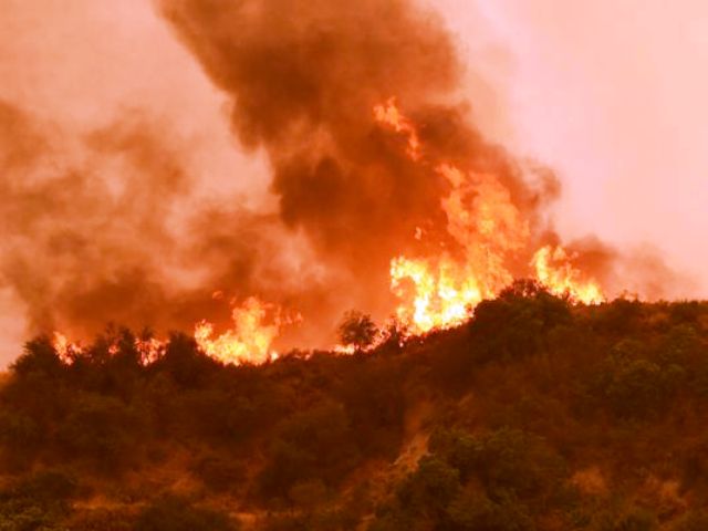 Mỹ sơ tán hàng nghìn người do cháy rừng - Ảnh 6.