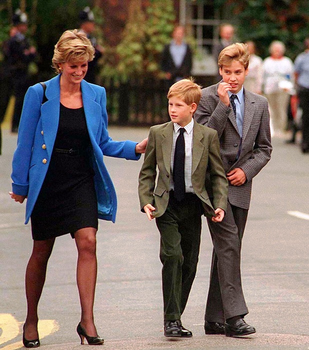 Hoàng tử William và Harry lần đầu chia sẻ những cảm xúc về mẹ - Ảnh 5.
