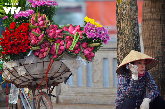 Hoa sen chớm nở đầu mùa đẹp dịu dàng góc phố Hà Nội - Ảnh 7.
