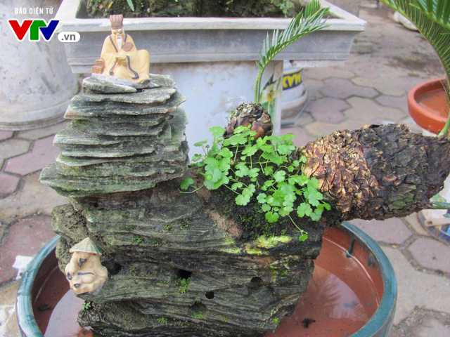 Độc đáo non bộ, bonsai ở các chợ hoa Tết Hà Nội - Ảnh 6.