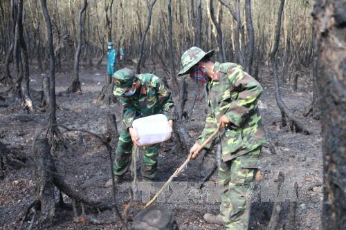 Vụ cháy hơn 36 ha rừng tràm: Do tàn thuốc lá - Ảnh 1.