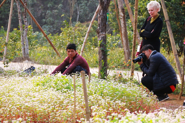 Ngắm vườn hoa tam giác mạch “độc nhất vô nhị” ở Ninh Bình - Ảnh 14.