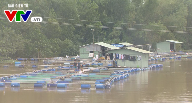 Quảng Nam: Hồ Phú Ninh xả lũ, không ảnh hưởng đến vùng hạ du - Ảnh 3.