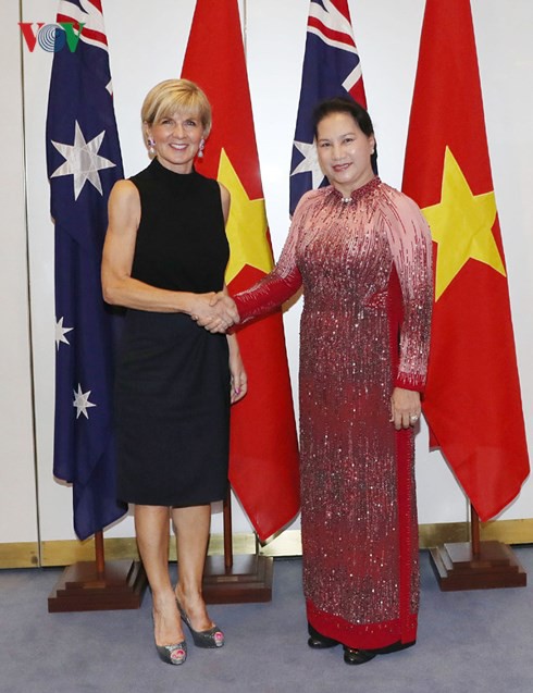 Chủ tịch Quốc hội gặp Bộ trưởng Bộ Ngoại giao Australia - Ảnh 1.