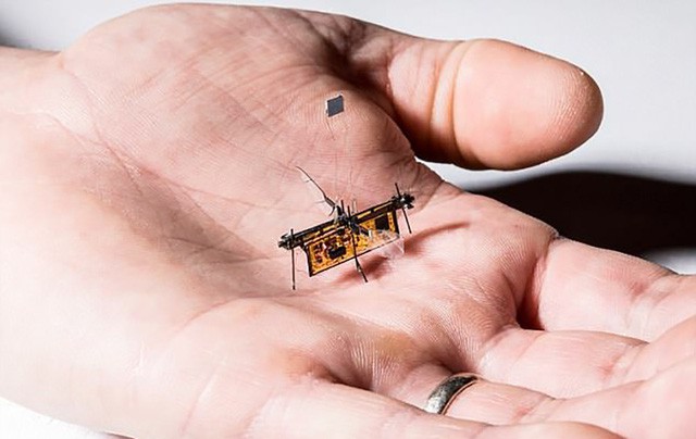 Lộ diện loài robot siêu nhỏ chỉ nhẹ như… que tăm, có thể bay được - Ảnh 1.