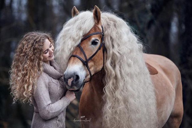 Chú ngựa trở thành sao trên mạng xã hội nhờ có bờm đẹp như mái tóc nàng Rapunzel - Ảnh 4.