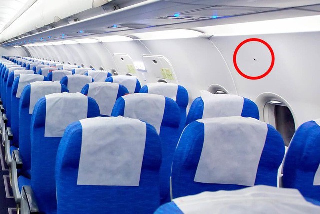 Đây là lý do tại sao ghế ngồi trên máy bay hầu hết lại có màu xanh dương - Ảnh 4.