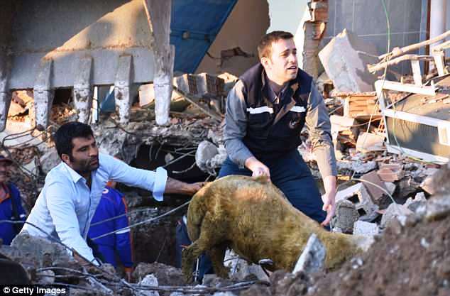 Động đất tại Thổ Nhĩ Kỳ: Số người bị thương tăng lên 39 - Ảnh 4.