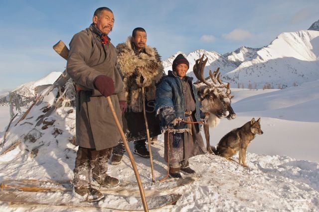 Cuộc sống của tộc người nuôi tuần lộc ở Mông Cổ - Ảnh 3.