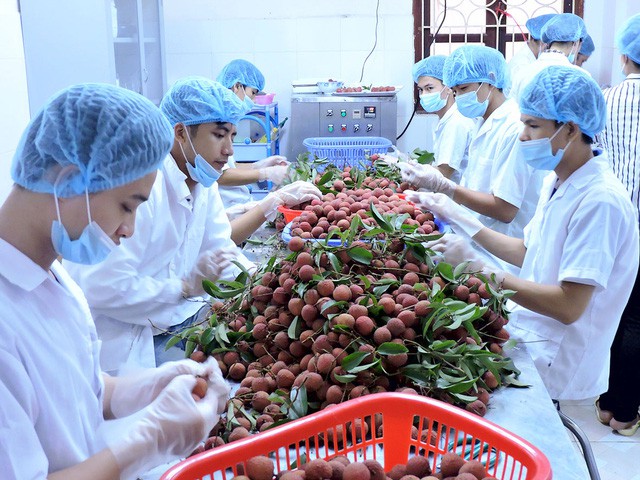 Xuất khẩu rau quả sang Thái Lan tăng ấn tượng - Ảnh 1.