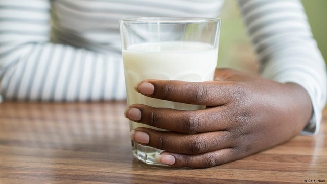 Sữa và nấm có thể ngăn ngừa các bệnh trao đổi chất - Ảnh 2.