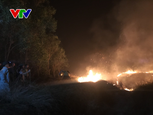 Cháy hàng trăm héc-ta rừng phòng hộ ven biển Quảng Bình - Ảnh 4.