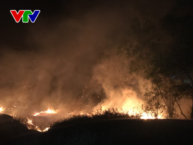 Cháy hàng trăm héc-ta rừng phòng hộ ven biển Quảng Bình - Ảnh 3.
