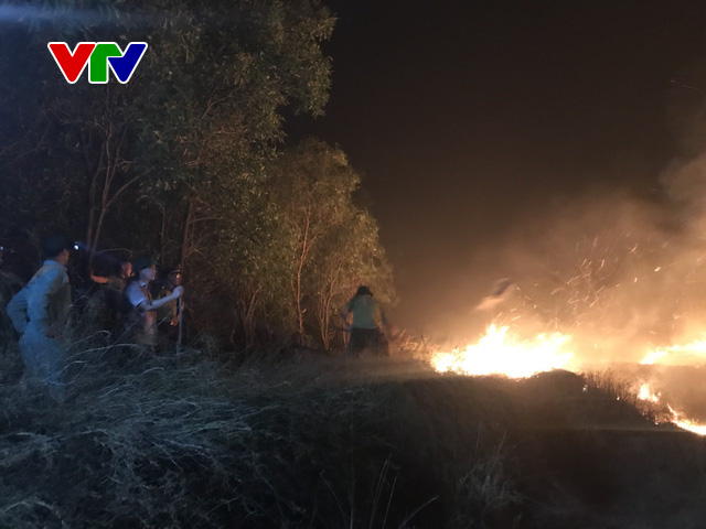 Cháy hàng trăm héc-ta rừng phòng hộ ven biển Quảng Bình - Ảnh 2.