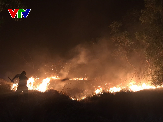 Cháy hàng trăm héc-ta rừng phòng hộ ven biển Quảng Bình - Ảnh 1.