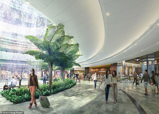 Sân bay Singapore mở cửa khu rừng và thác nước nhân tạo lớn nhất thế giới - Ảnh 1.
