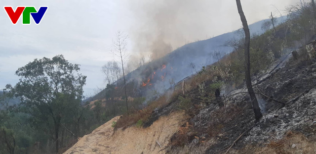 Tiếp tục cháy rừng dữ dội ở Hà Tĩnh, uy hiếp đường dây 500KV - Ảnh 2.