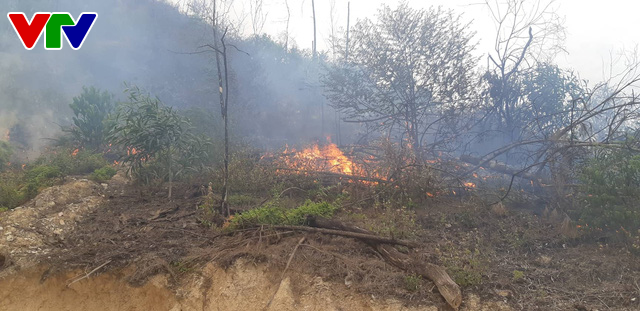 Tiếp tục cháy rừng dữ dội ở Hà Tĩnh, uy hiếp đường dây 500KV - Ảnh 1.