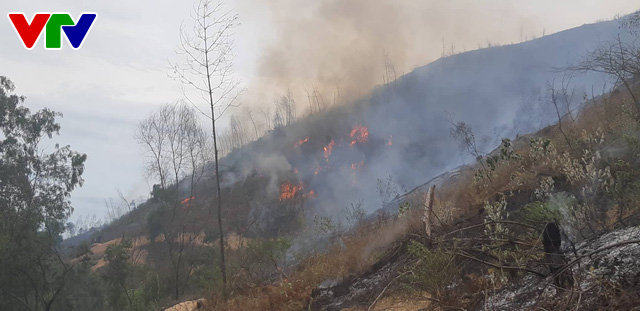 Tiếp tục cháy rừng dữ dội ở Hà Tĩnh, uy hiếp đường dây 500KV - Ảnh 3.