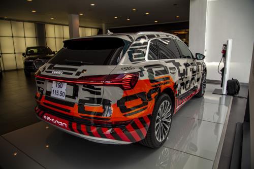 Audi muốn đưa ô tô chạy điện về Việt Nam phân phối - Ảnh 1.