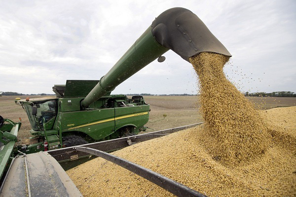 Giá nông sản Mỹ giảm mạnh - Ảnh 2.