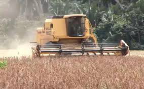 Brazil dự kiến đạt sản lượng ngũ cốc kỷ lục - Ảnh 1.