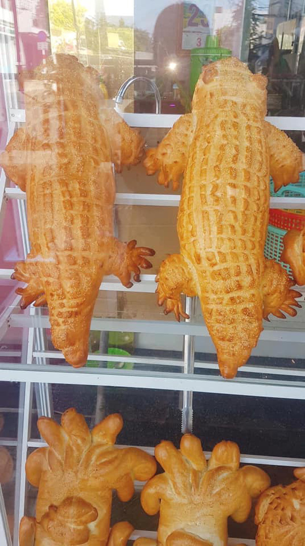 Bánh mì cá sấu khổng lồ gây bão mạng - Ảnh 2.