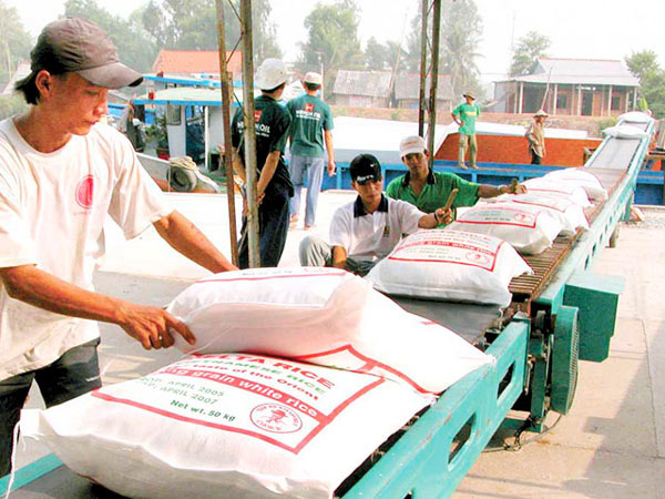 Sẽ chấm điểm uy tín nhà thầu cung cấp gạo dự trữ quốc gia - Ảnh 1.