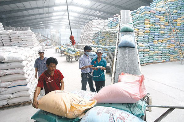 Giá gạo tăng nhưng sản lượng xuất khẩu lại giảm mạnh - Ảnh 1.