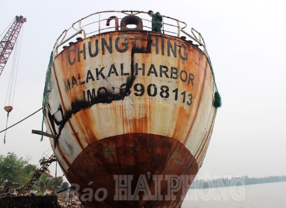 Mua tàu cũ, nhập lậu vào Việt Nam để phá dỡ bán sắt vụn kiếm lời hàng tỷ đồng - Ảnh 2.