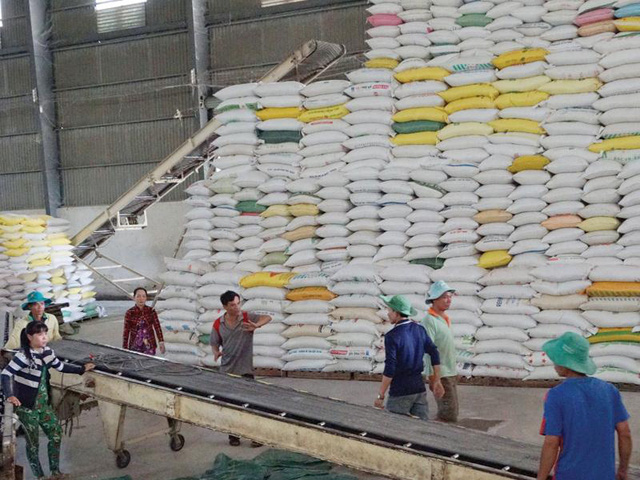 Xuất khẩu gạo đầu năm 2021 hạ nhiệt - Ảnh 1.