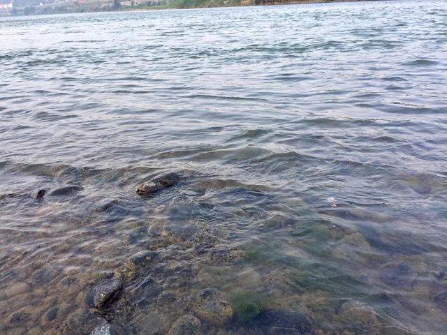 Nước sông Hồng chuyển màu trong xanh - Ảnh 1.