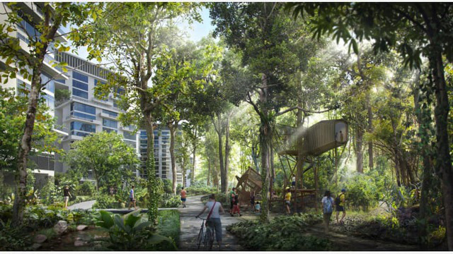 Singapore xây dựng đô thị rừng giữa lòng thành phố - Ảnh 6.