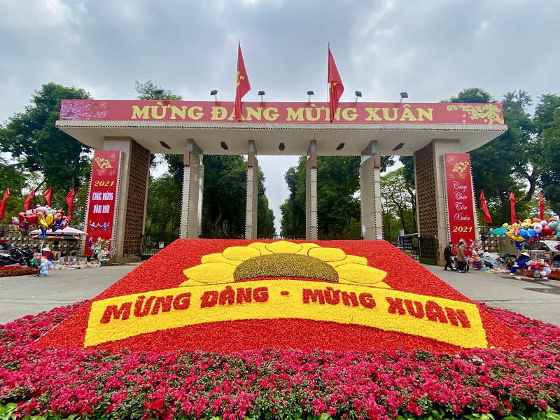 Hanoi streets are dressed in vivid colour with diverse decorations of flowers, lively banners and beautiful mascots of the Golden Buffalo to welcome the Lunar New Year. This wonderful flower carpet is in front of Thong Nhat park.