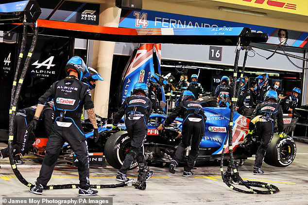 Sự cố hài hước của Fernando Alonso tại GP Bahrain - Ảnh 1.