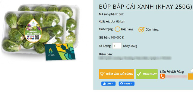 Bay từ Australia về Việt Nam, bắp cải tí hon được hét giá 400.000 đồng/kg - Ảnh 2.