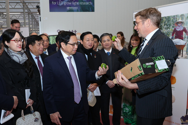 Hà Lan sẵn sàng là đối tác đồng sáng tạo với Việt Nam trong nông nghiệp - Ảnh 6.