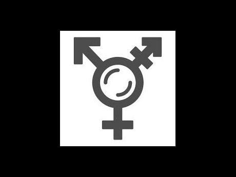 Thụy Sĩ bác bỏ đề xuất lựa chọn giới tính thứ ba trong hồ sơ chính thức - Ảnh 1.